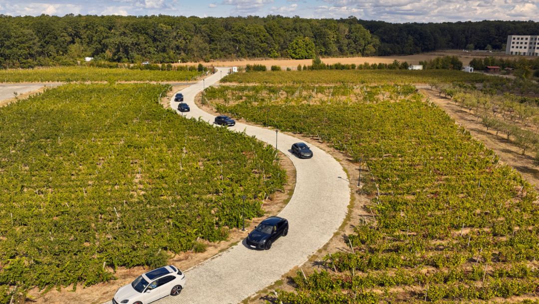 Autumn Ladies Drive
